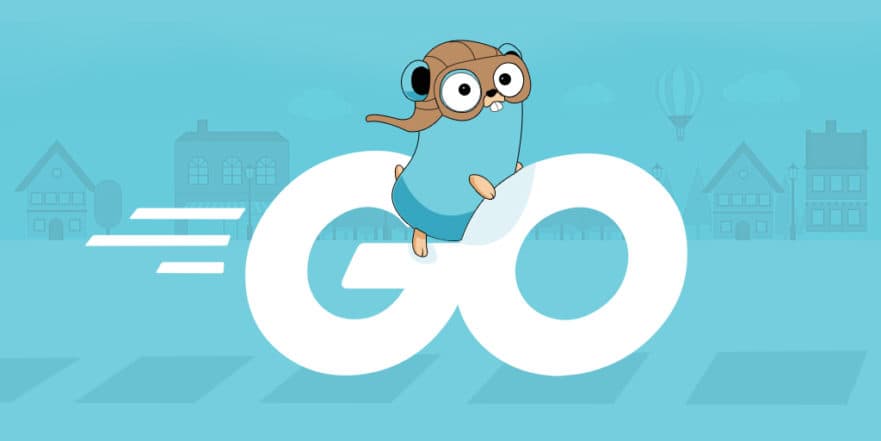 Golang: My Journey to Mastery